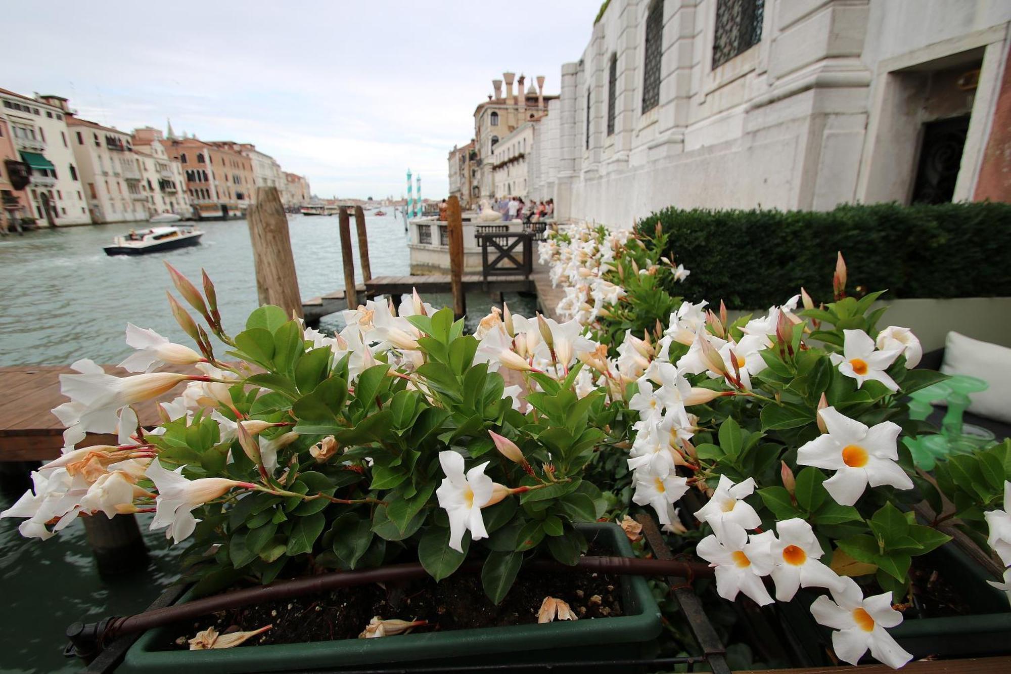 Grandelux-Canal - Bbc Venice Grand Tour 2024 Recorded Here! Εξωτερικό φωτογραφία